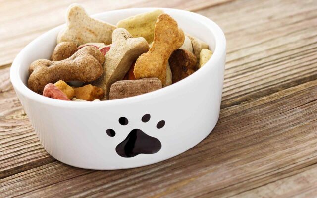 14 Foods You Can Share with Your Cat